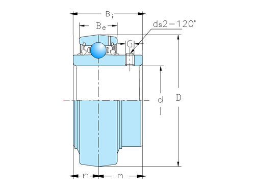 RAE25-XL-NPP-NR